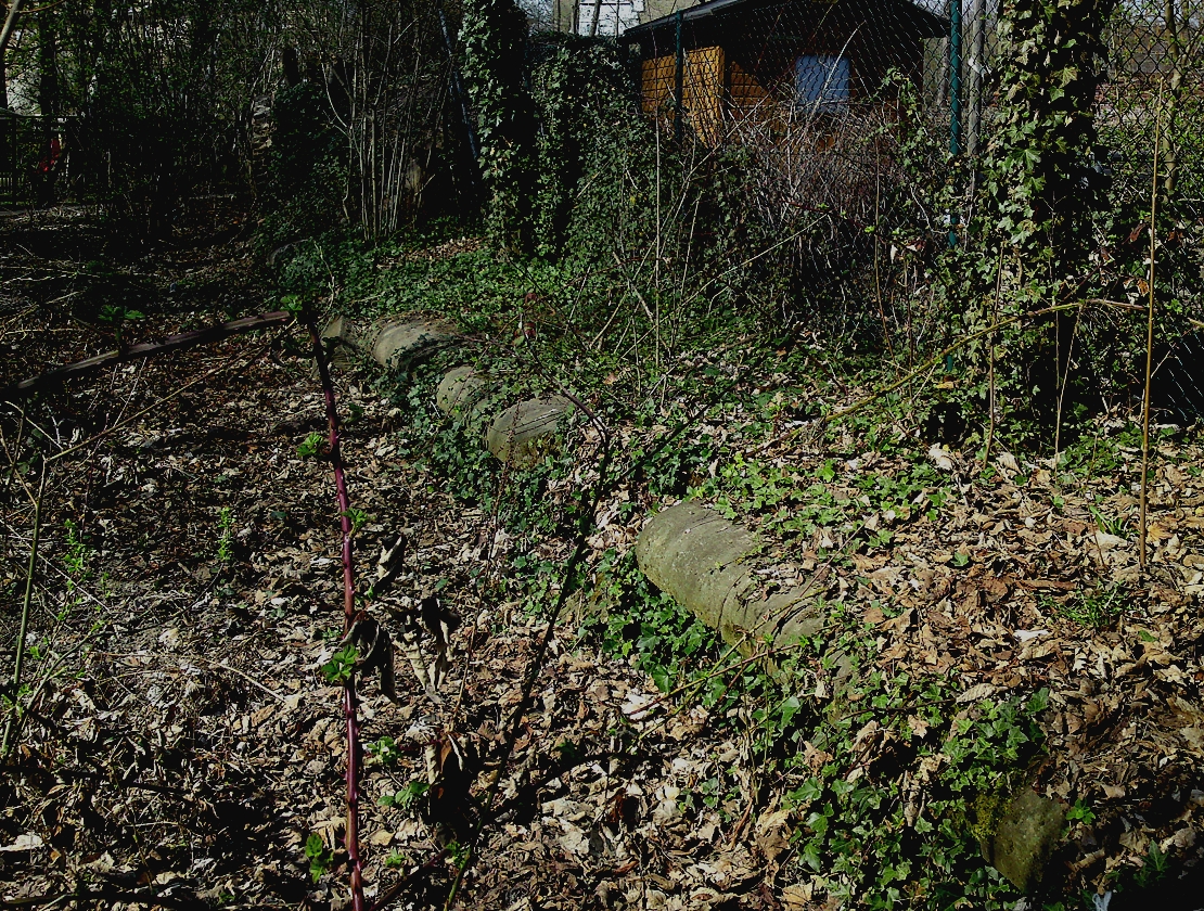 Uferbefestigung der Alten Elster - aufgenommen im Frühjahr 2011